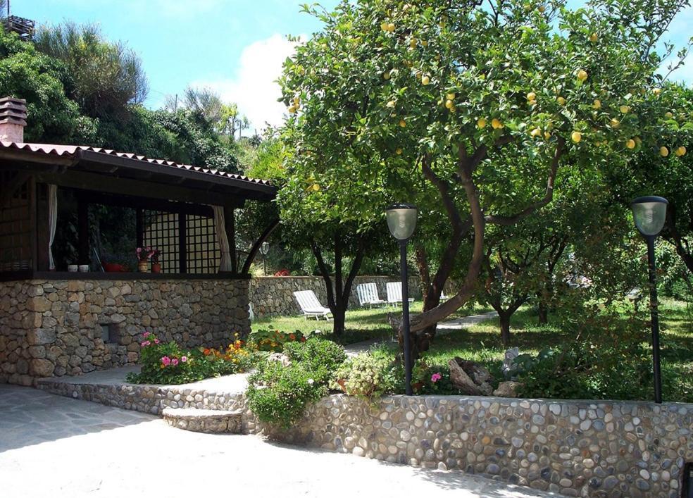 La Tana Del Tasso Ventimiglia Bed and Breakfast Eksteriør billede