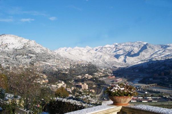 La Tana Del Tasso Ventimiglia Bed and Breakfast Eksteriør billede