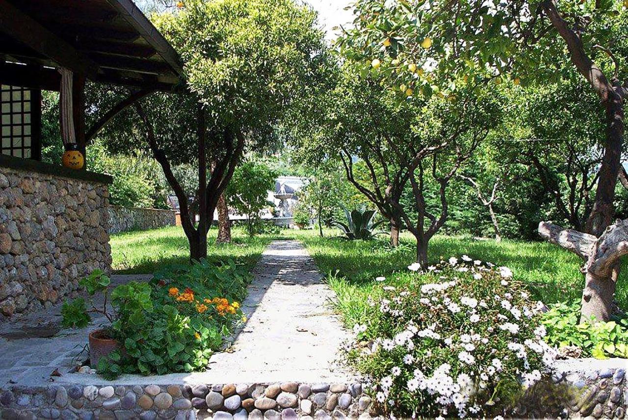 La Tana Del Tasso Ventimiglia Bed and Breakfast Eksteriør billede